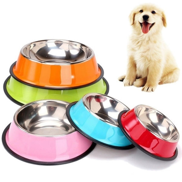 What Is the Best Material for Dog Bowls?