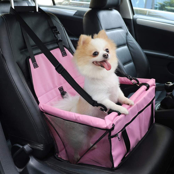 How to Clean a Dog Carrier