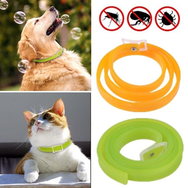 How Does a Dog Flea Collar Work?