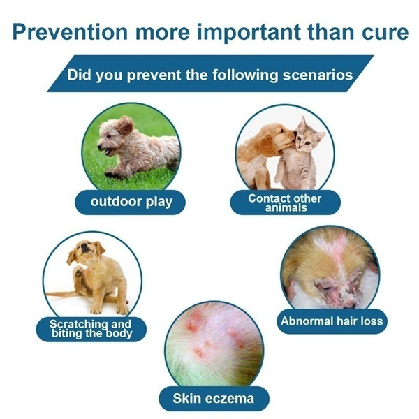 How Does a Dog Flea Collar Work?