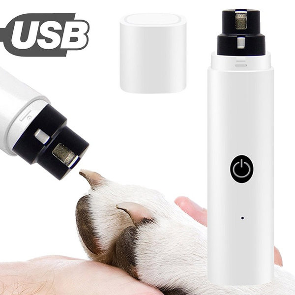 Can I Use Human Clippers On Dogs?