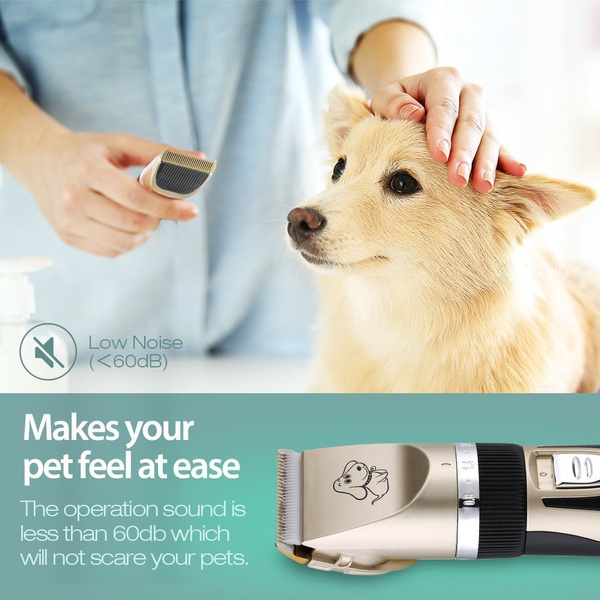 Can I Use Human Clippers On Dogs?